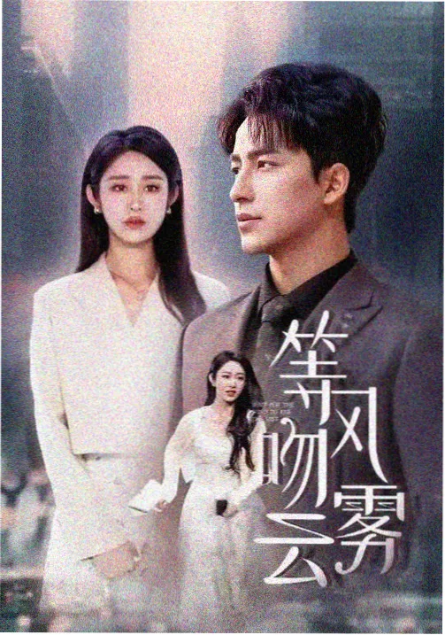 暗涌谍战剧在线播放海报