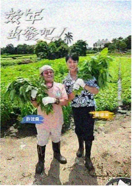 慢半拍生活观察综艺在线播放海报